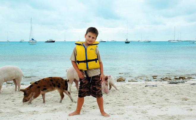 Today sailors come in droves to swim with the pigs - photo by Blogging Aboard Black Diamond, www.sailboatcruise.ca copyright (c) 2013 ©  SW